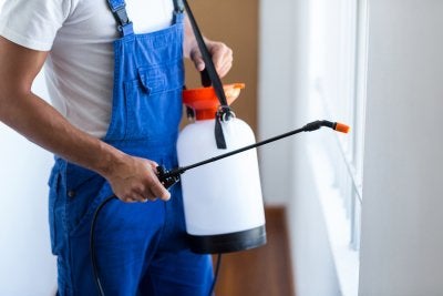 Commercial Pest Control In Phoenix