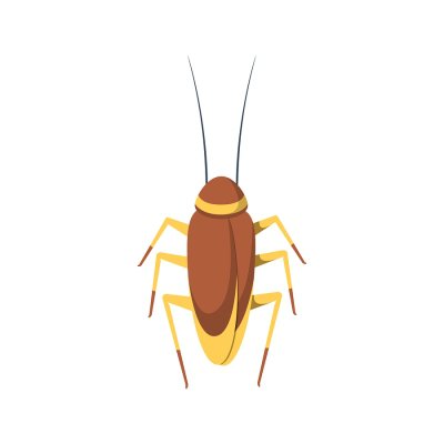 cockroach - infestation
