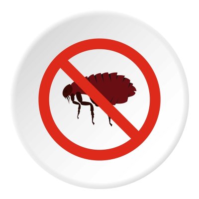 flea - prevention
