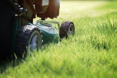 Essential Lawn Care Tips for Spring San Francisco