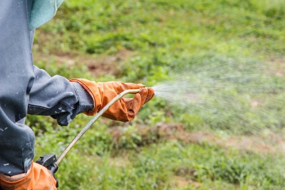 weed control service in dublin, ca