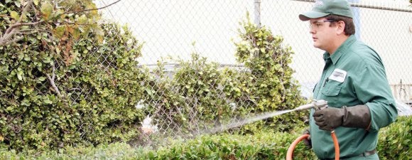 Spotlight on Weed Control Pleasanton