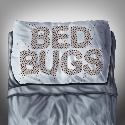 bed bugs in dublin, ca