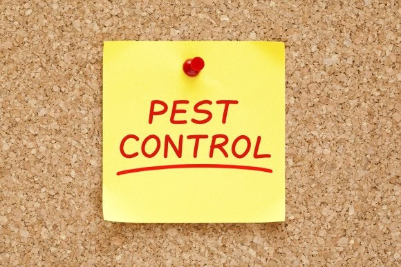 pest treatment plan in dublin, ca