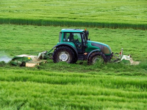 weed control dublin